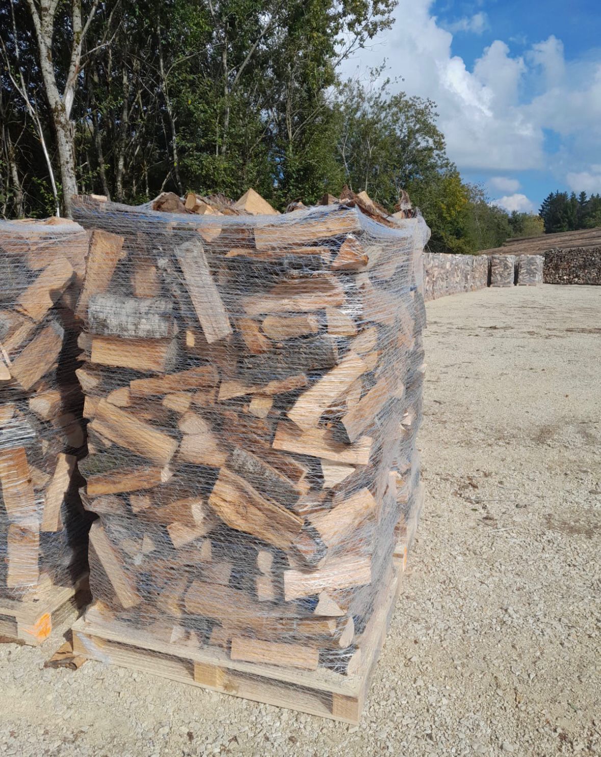Palette - Bois de chauffage Merisier en vrac en filet de 2 stères